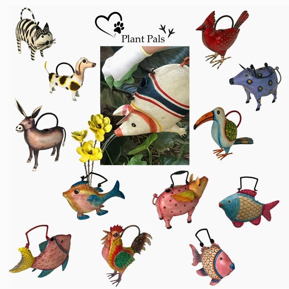 Great Gift! Multi Color Toucan Hand-Made, Hand-Painted Metal Watering Can - Picture 5 of 6